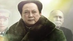 电视剧