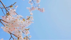 踏着春天的脚步