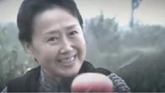电视剧