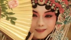 电视剧