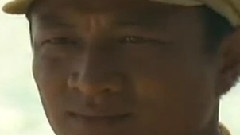 电视剧