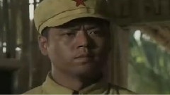 电视剧