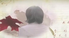 电视剧