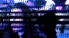 Punkrocker 2.1