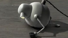 追逐