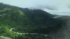 海洋宠物