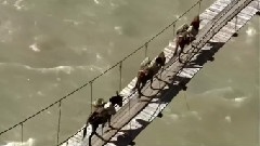 茶马古道