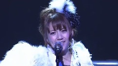 Bird TDC