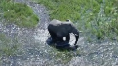 电影