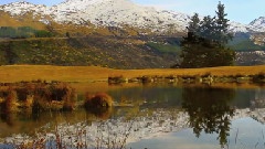 Beauty Of The Earth