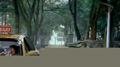 百万巨鳄