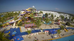 Victoria's Secret Golden Angels - Dolphin Encounter Nuevo Vallarta
