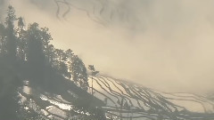 笛声依旧