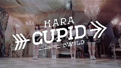 CUPID