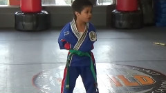 Ringa Linga