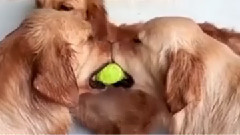 嘴对嘴