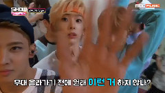 Show Champion Backstage HALO Cut