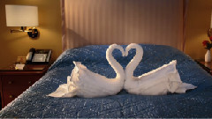 CitizenM Swan Song By PES