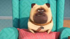 The Secret Life Of Pets