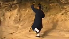 TAI CHI (太极)