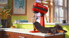 宠物的秘密生活(The Secret Life of Pets) 电影预告