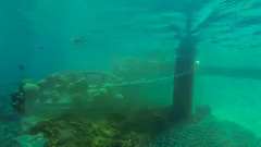 The Mysterious Underwater World