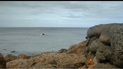 The Big Island