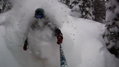 February