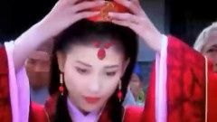 电视剧