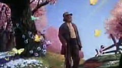美丽的一天