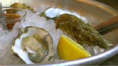 Oysters