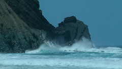 自由的生活