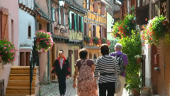 The Year Of the French