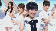 ラブラドール・レトリバー
