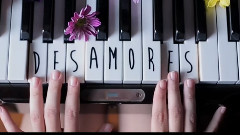 DESAMORES - Perfect Art