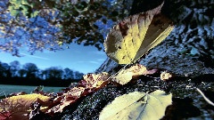 A Fascinating Journey 1