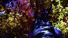 A Fascinating Journey 6