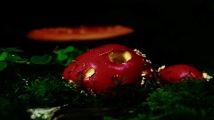 A Fascinating Journey 7