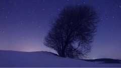 A Fascinating Journey 8