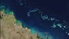 听见夏天