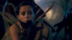 <Skins>