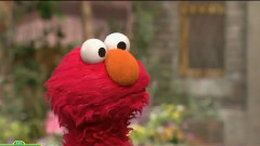 A Song About Elmo