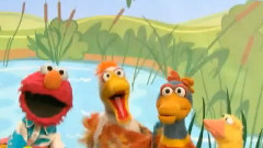 Elmo's Ducks