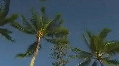 双鱼座