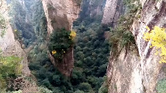 张家界国家森林公园