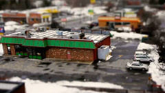 Mini Maine