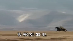 吕布