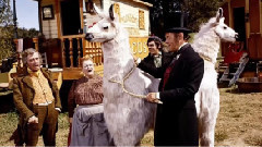 Talk To The Animals