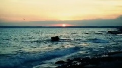 All Over The Sea