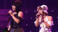 ヒグラシノコイ